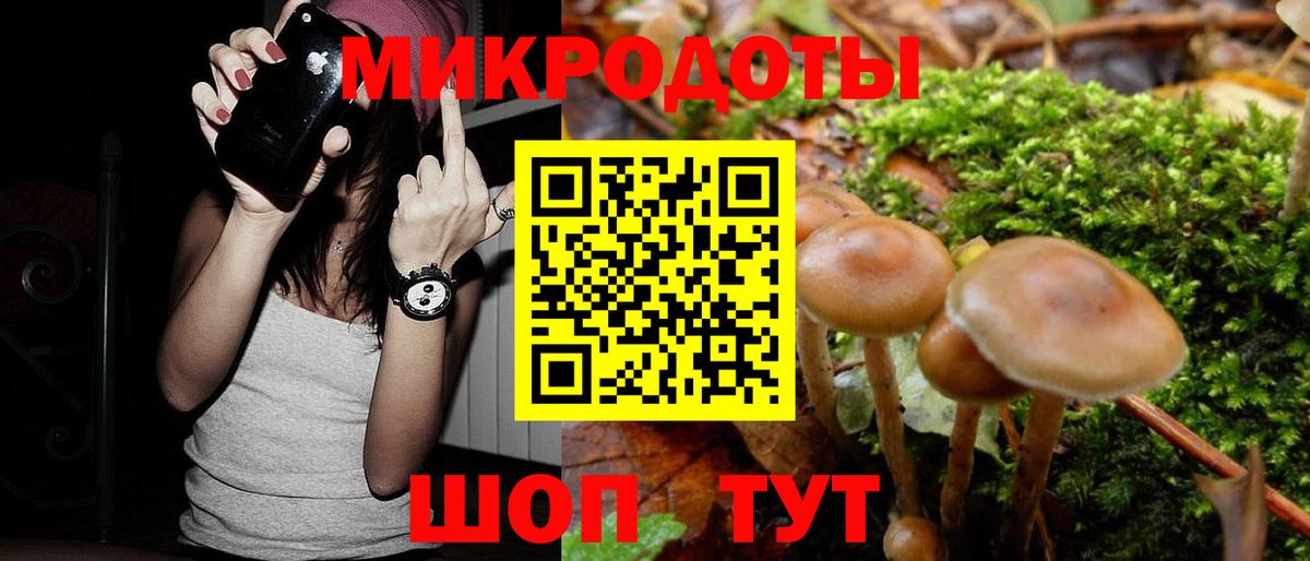 Галлюциногенные грибы Cubensis Сокол