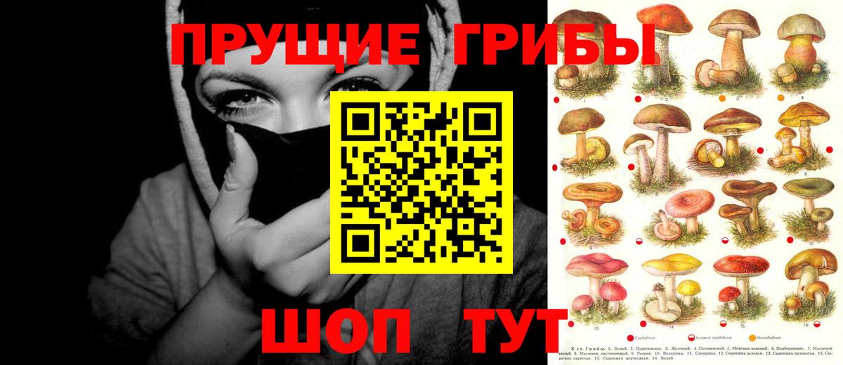 Галлюциногенные грибы Psilocybe  Вход с VPN  Сокол 